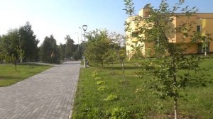 2024.08.29 Курорт Красная Пахра. Черемуха виргинская