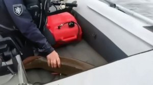 Взял без подсака... 🎣👍