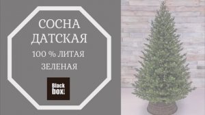 Black Box - Обзор искусственной сосны Датская 100% литая, зеленая