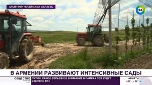 В ногу со временем  в Армении развивают интенсивное са