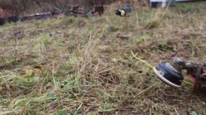 Как скосить траву на участке НЕПРАВИЛЬНО... Как косят т