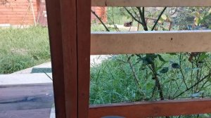 СОЧИ ГОРНОЕ ЛОО ВЕЧЕР 10.09.2025