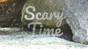 Scary time