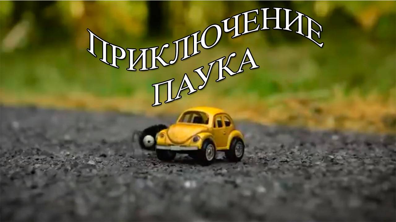 Приключение паука водителя. Видео для детей.