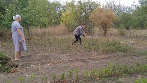 УБОРКА В ОГОРОДЕ 🌾СБОР УРОЖАЯ🍅🍐🍇ДАРЫ ОСЕНИ 🍂