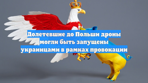 Долетевшие до Польши дроны могли быть запущены украинцами в рамках провокации