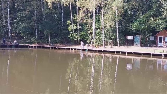 Спорт-зона. Часть 2. Клёвое место, Лосиный остров.