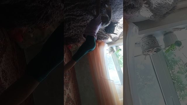 VID_20250830_125900.mp4 смотреть онлайн