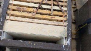 Первые весенние работы после зимовки пчел