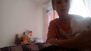 1 часть дневного влога.