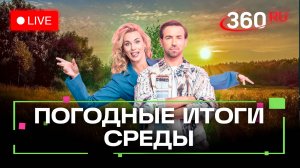 Малина, бирюльки и метеостанция. Погода на 11 сентября. Метеострим 360