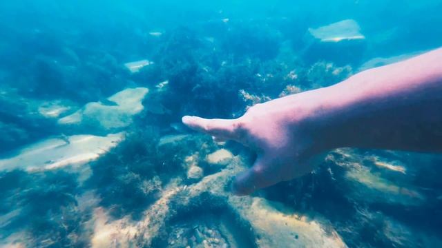 Чёрное море