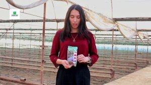 Дымовые шашки для теплиц.