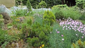 Обзор ШИКАРНОЙ альпийской горки!👍 В гостях в саду Еле