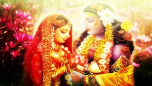 RASA - JAYA RADHA MADHAVA