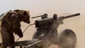 влог медведя в армии 3 серия