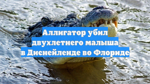 Аллигатор убил двухлетнего малыша в Диснейленде во Флориде