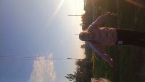 как сделать эстетичные фото на улице