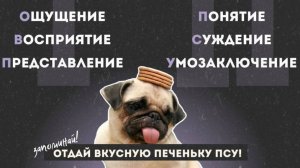 Познание и мировоззрение. Обществознание. ЕГЭ