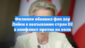 Филиппо обвинил фон дер Ляйен в ввязывании стран ЕС в конфликт против их воли