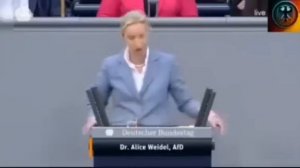 ОТКРОВЕННАЯ РУГАНЬ В НЕМЕЦКОМ ПАРЛАМЕНТЕ! ТАКИМИ СЛОВАМИ ПОЛИВАЮТ МЕРЦА! КАНЦЛЕР ПОД ОГНЕМ ОППОЗИЦИИ