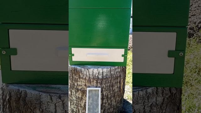 Улей 12-ти рамочный с высоким двойным дном смотреть онлайн