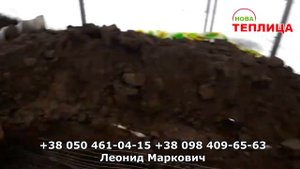 Теплица с подогревом земли Идеал-термос-комби - Отзыв (