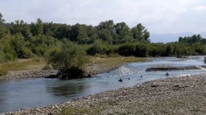 Горный мед Признаки осени Надо бежать Кавказ Псебай Л?