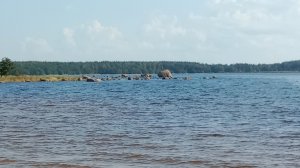 Бухта Желтая/мыс Кюренниеми/Приморск/Выборг