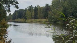 Дошкольное образование для семьи и семейного здоровья.