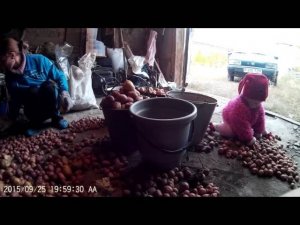 маленькая помощница, смешные дети!