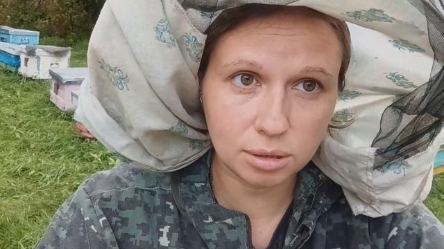 Теплый и холодный занос Пчеловодство смотреть онлайн