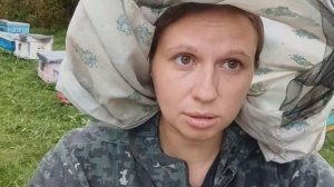 Теплый и холодный занос Пчеловодство