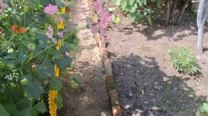 Покраска тротуарной плитки/работа на участке.🫠🫠🫠