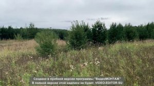 Дачный