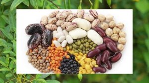 Почему вы должны есть фасоль каждый день 20 фактов о по?