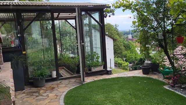 Роза чайно-гибридная Чиппендейл. 🌹 ОБЗОР ТЕПЛИЦЫ С ТО смотреть онлайн