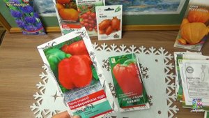 ОБЗОР СЕМЯН ИЗ ЛЕНТЫ! ЧТО ХОРОШО ВСХОДИТ, А ЧТО НЕТ! 2021