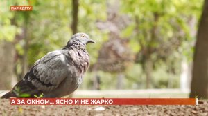 А за окном. 10 сентября 2025