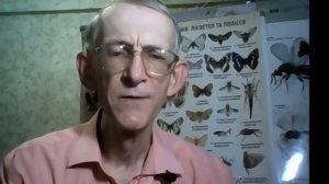 Использование Диких Пчел Осмий на Приусадебном Участ?