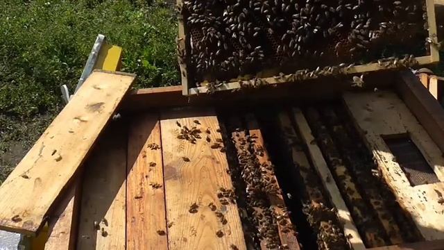 вывод маток часть 2 смотреть онлайн