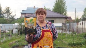 Больше Никакой Морковной Мухи! Секретный Посев + Защит