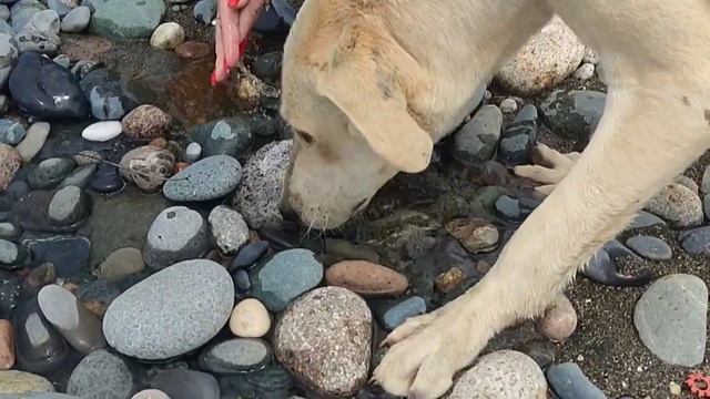 Абхазия 2025. Сухум. Гуляем по заброшкам. День 2