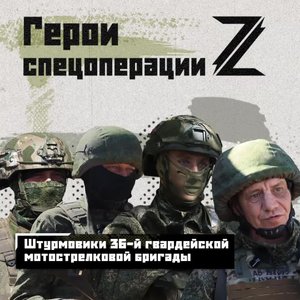 Штурмовики 36-й гвардейской мотострелковой бригады освободили населённый пункт Новосёловка в Днеп...