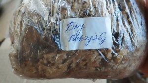 Новые сорта флоксов для моего сада.