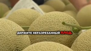 Как правильно хранить дыню ?
