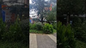 Идет дождь. Иду в СБЕР.  Ялта.