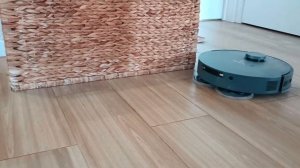 Приключения Элвиса с Зефиром и Шанталь . взаимоотношения роботов пылесосов..