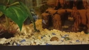 VID-20250910-WA0027