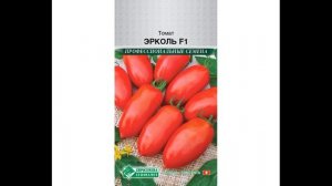 Самый лучший томат в мире 2023 г.!Высокоурожайный и слад?